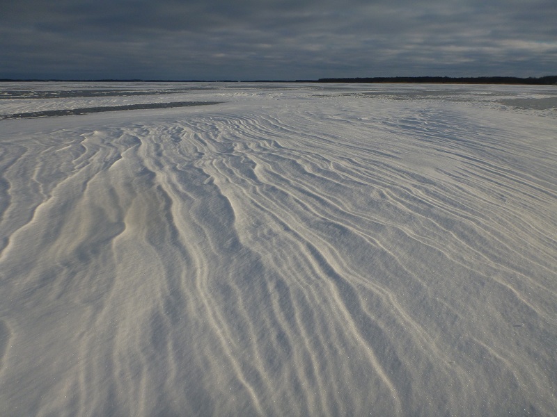 Skridskois?